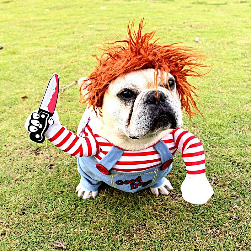 Funny Halloween Pet Costume: Dagger Pet Changing Clothes