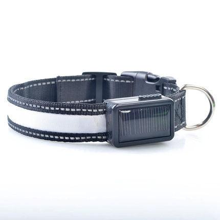 Solarpup Led Reflective Collar: Keep Your Furry Friend Safe And Stylish!