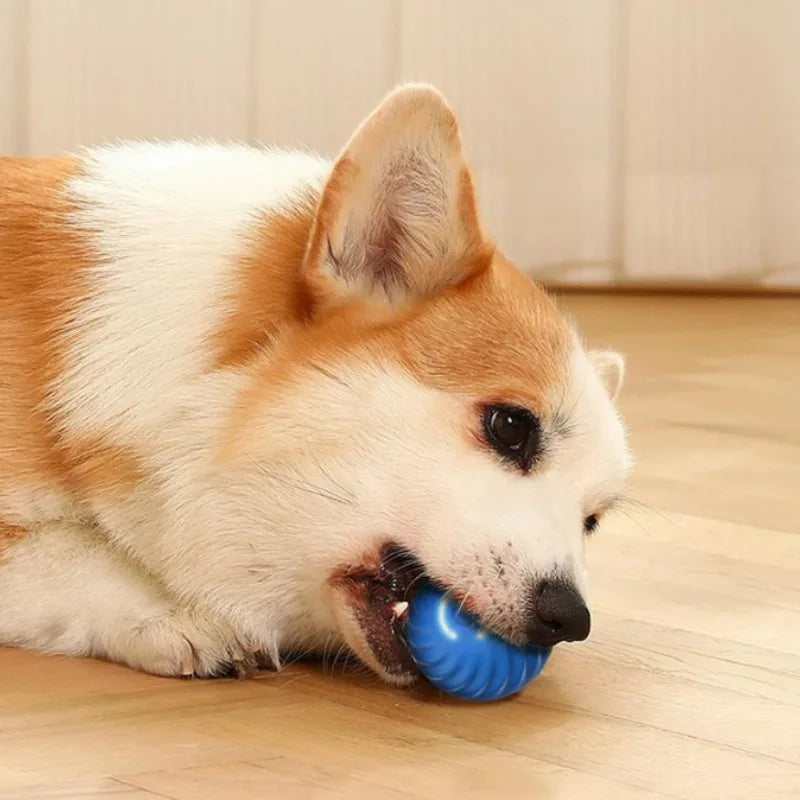 Pet Toy Ball Automatic Moving Dog Toy Ball Smart USB Jumping Rotating Interactive Dog