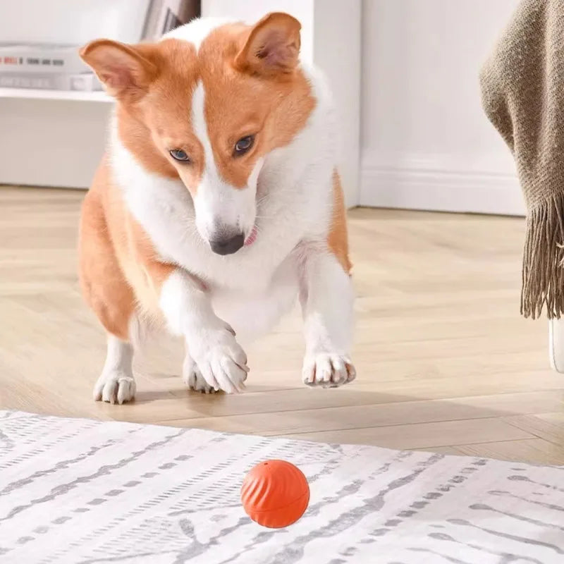 Pet Toy Ball Automatic Moving Dog Toy Ball Smart USB Jumping Rotating Interactive Dog