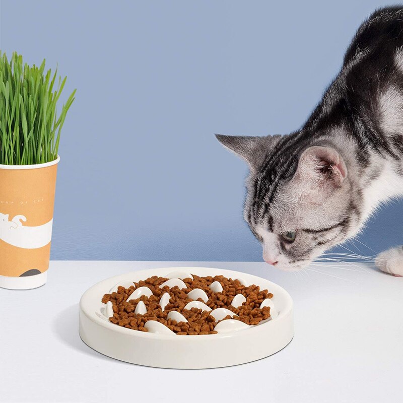 More Style Dog Bowl Anti Choke Dog Feeding Food Bowls Puppy Slow Eating Dog Bowls Feeder Dish Pet Bowl Pet Supplies