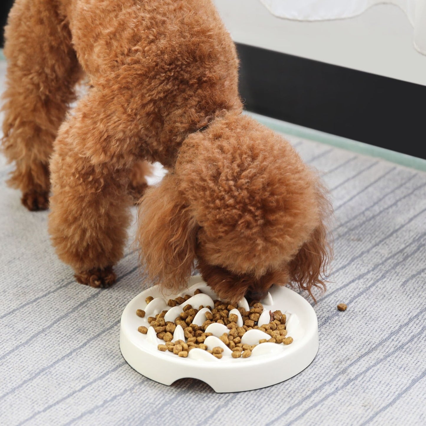 More Style Dog Bowl Anti Choke Dog Feeding Food Bowls Puppy Slow Eating Dog Bowls Feeder Dish Pet Bowl Pet Supplies