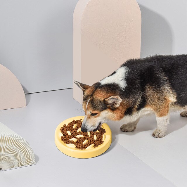 More Style Dog Bowl Anti Choke Dog Feeding Food Bowls Puppy Slow Eating Dog Bowls Feeder Dish Pet Bowl Pet Supplies