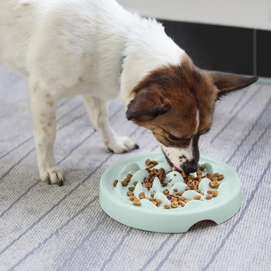 More Style Dog Bowl Anti Choke Dog Feeding Food Bowls Puppy Slow Eating Dog Bowls Feeder Dish Pet Bowl Pet Supplies